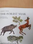The Forest Year