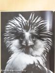 Zoo fotografie