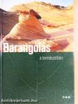 Barangolás a természetben