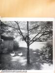 Photography Year 1975