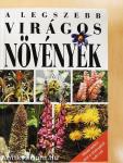 A legszebb virágos növények
