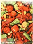 Latin American Cooking/Recipes