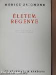 Életem regénye
