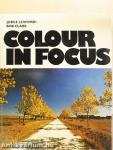 Colour in Focus