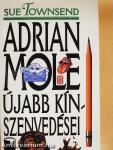 Adrian Mole újabb kínszenvedései