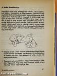 Szülők lettünk!