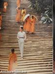 Norman Parkinson - Lifework