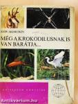 Még a krokodilusnak is van barátja...