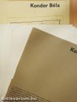 Kondor Béla