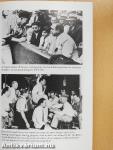 Hollywood and the Mob