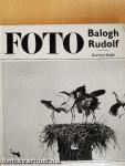 Balogh Rudolf munkássága