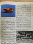 The Aegean Civilizations