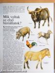 A világ legcsodálatosabb titkai