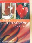 Nagy szobanövény lexikon