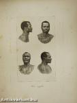 Die Eingeborenen Süd-Afrika's