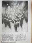 Pentagram 1995. november-december