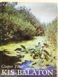 Kis-Balaton