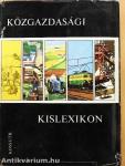 Közgazdasági kislexikon