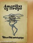 Amerika új lirája