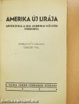 Amerika új lirája