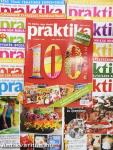 Praktika 2006. január-december