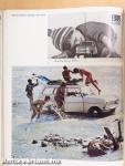 Photographis '66