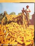 Fotojahrbuch international 1973