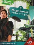 Nagy levelű szobanövények