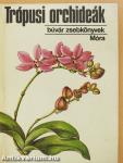 Trópusi orchideák