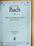 Kantate BWV 110-119.