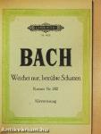 Kantate BWV 201-207a