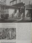 The Roman World