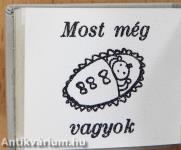 Gólyahír (minikönyv)