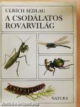 A csodálatos rovarvilág