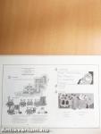 TipTop - Teacher's Book 1.