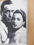 Casablanca regénye