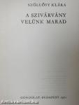 A szivárvány velünk marad