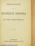 Beszterce ostroma