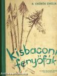 Kisbaconi fenyőfák
