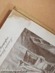 Egy festő ifjúsága