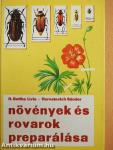 Növények és rovarok preparálása