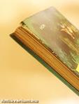 Négyen a vadonban