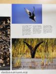 Hungary's National Parks