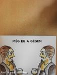 Egy péktucat palindrom