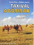 Taxival a Góbiban
