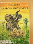 Afrikai nyomozás