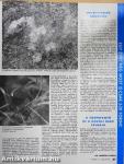 Természetbúvár 1995/6.