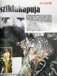 Természetbúvár 1995/4.