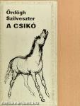 A csikó