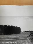 Szolnok megye 1985